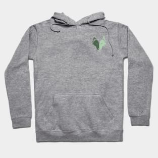 OW Color Hoodie